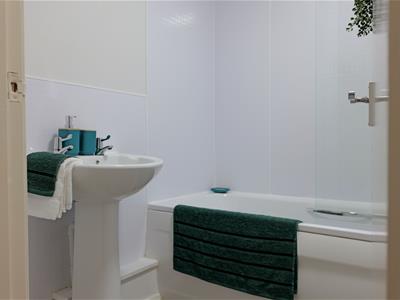 Picture 7